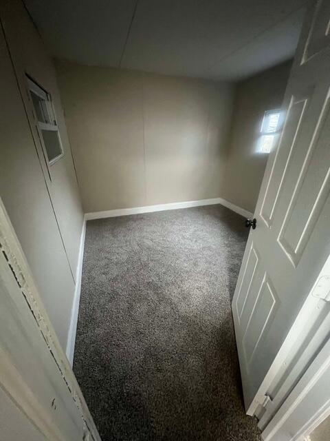 unfurnished room featuring carpet