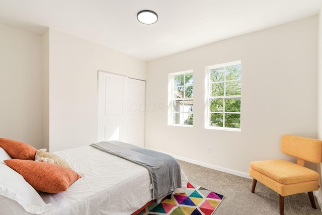 bedroom featuring carpet floors