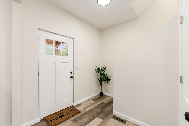 foyer with wood-type flooring