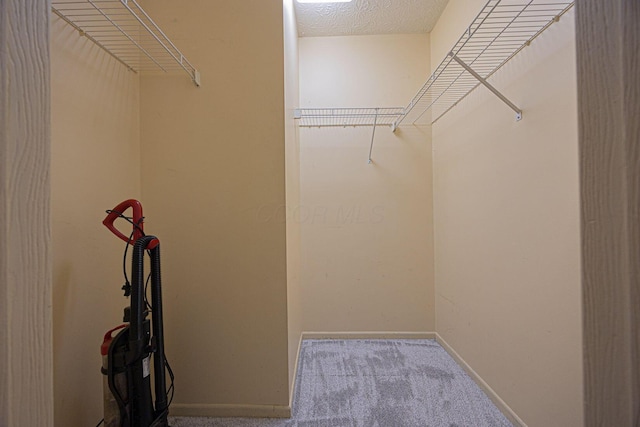 walk in closet featuring carpet flooring