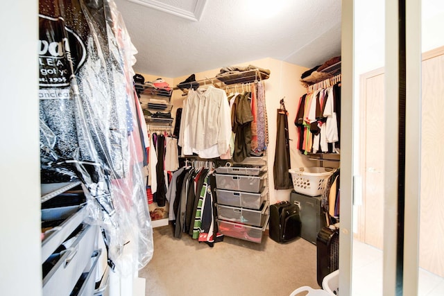 walk in closet featuring light colored carpet