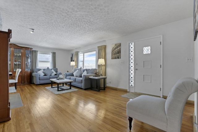 living room featuring light hardwood / wood-style floors and a healthy amount of sunlight