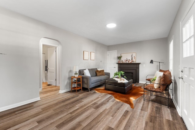 living room with hardwood / wood-style floors and a fireplace