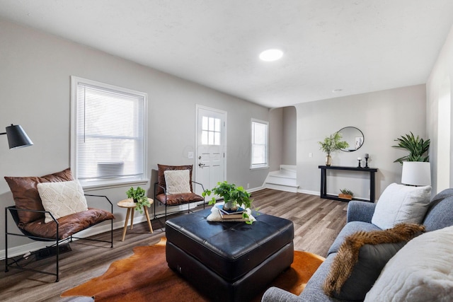 living room with hardwood / wood-style flooring