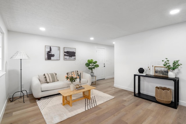 living room with light hardwood / wood-style floors and a textured ceiling