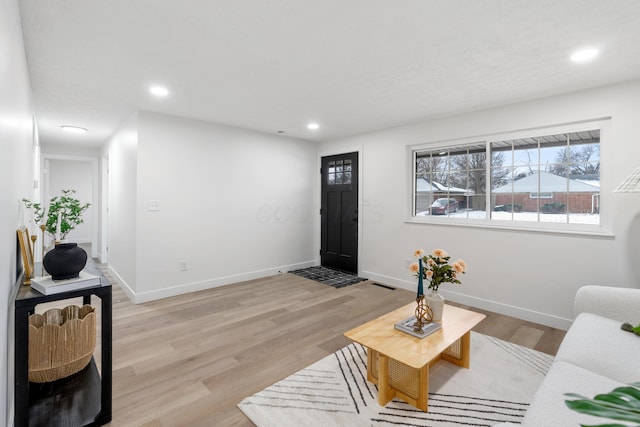 living room with light wood-type flooring