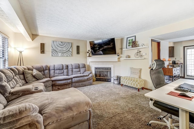 living room featuring a textured ceiling and carpet