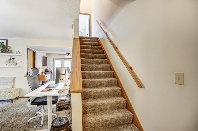 stairway featuring carpet