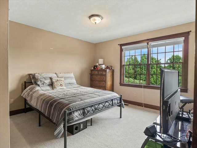 bedroom featuring carpet