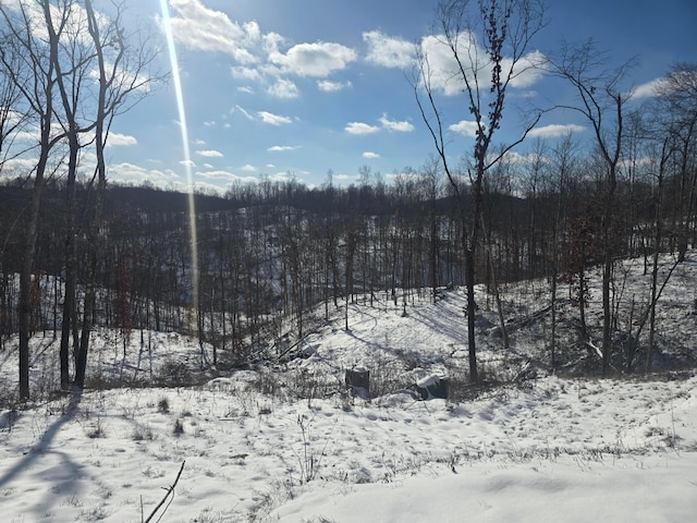 view of snow covered land