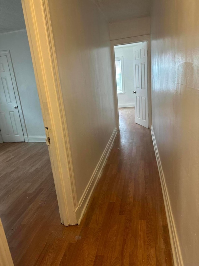 hall featuring hardwood / wood-style floors