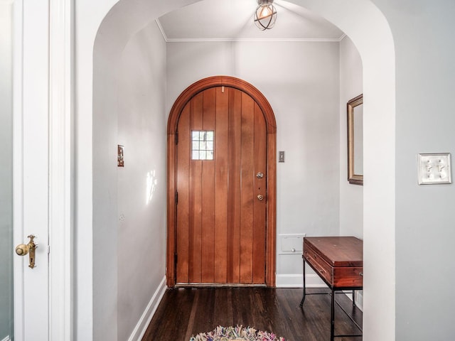 foyer entrance featuring dark wood-type flooring and crown molding