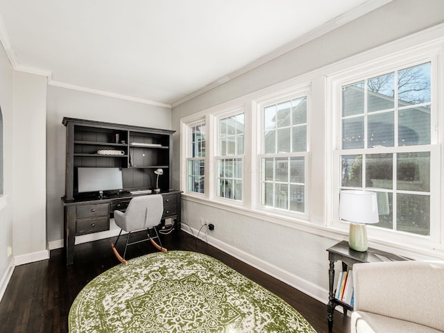 office area featuring dark wood-type flooring and ornamental molding