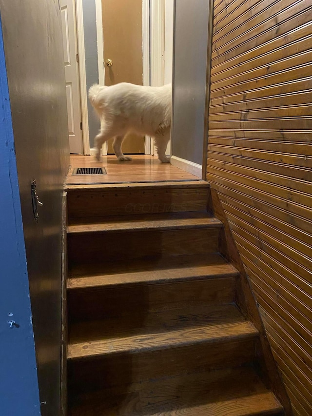 stairs featuring wooden walls