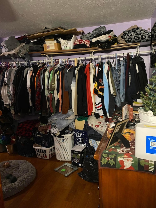 spacious closet with hardwood / wood-style flooring