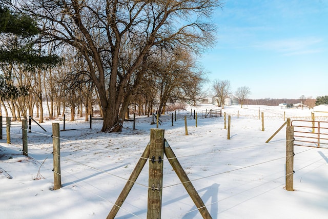 view of snowy yard