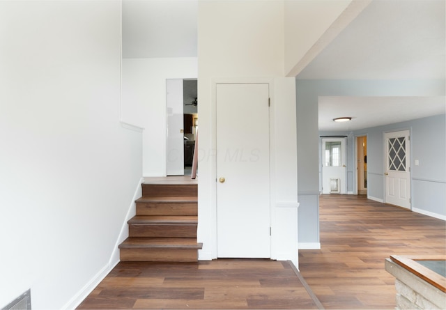 stairs featuring hardwood / wood-style floors