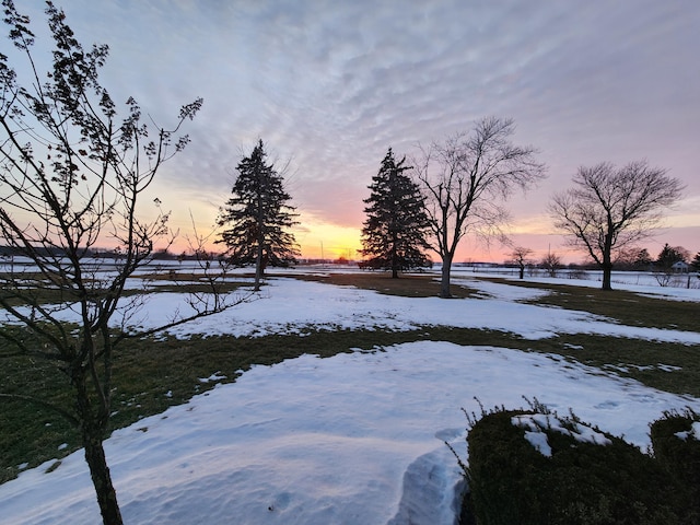 view of yard covered in snow