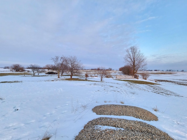 view of snowy yard