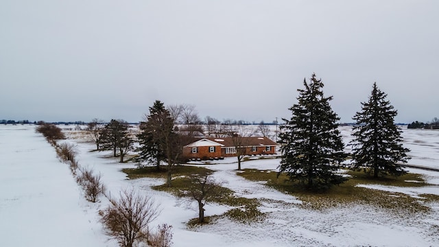 view of snowy yard