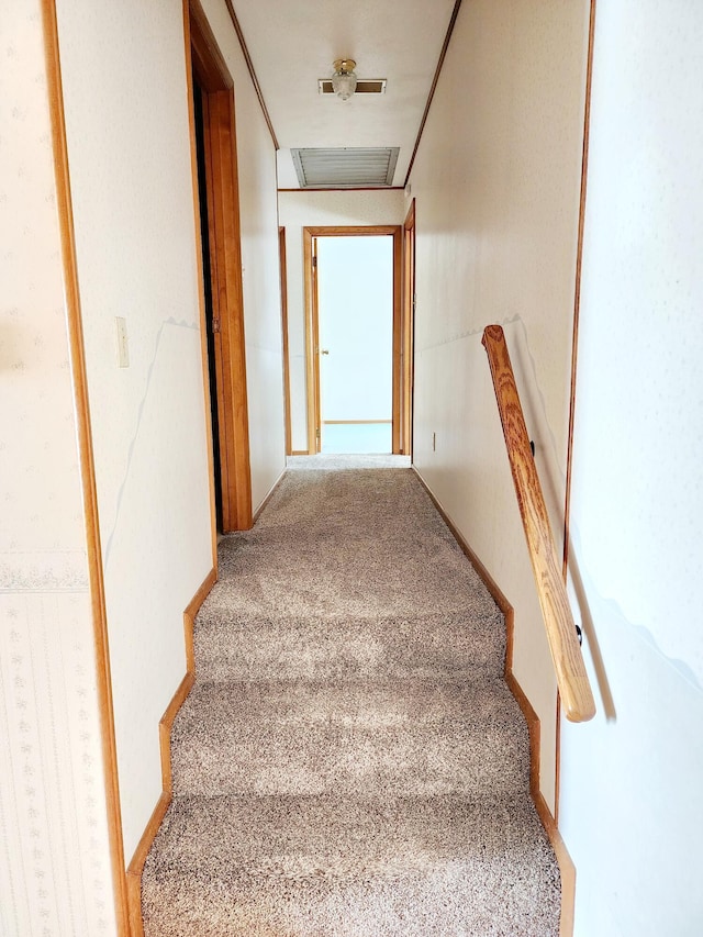 staircase with carpet flooring