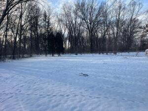 view of yard covered in snow