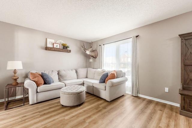 living room featuring hardwood / wood-style flooring and a textured ceiling