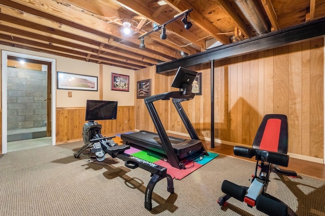 exercise room with wooden walls and carpet flooring