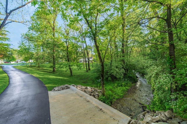 1750 Stoneybrook Way, Blacklick, OH 43004 - view of home's community featuring a yard