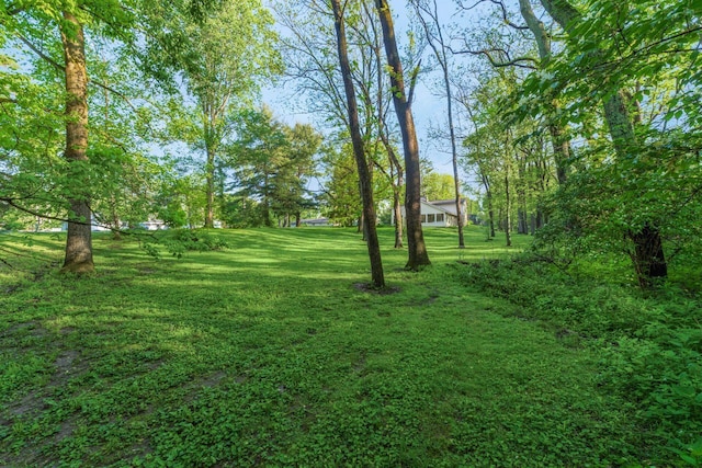 1750 Stoneybrook Way, Blacklick, OH 43004 - view of green lawn