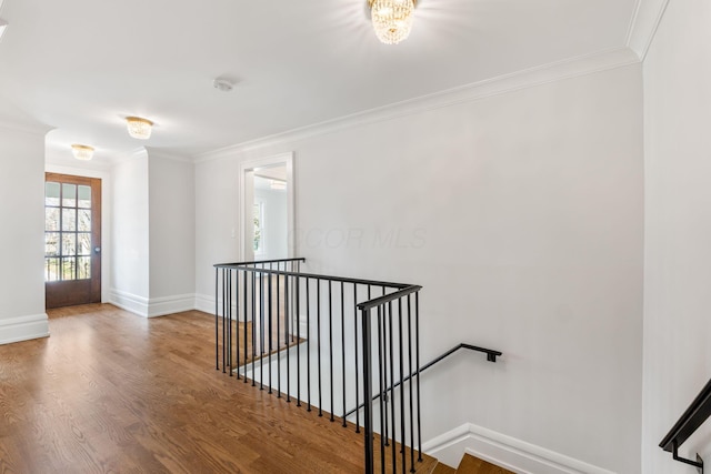 interior space featuring crown molding and wood-type flooring