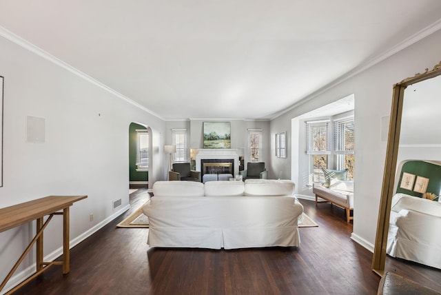 living room featuring ornamental molding, a wealth of natural light, and dark hardwood / wood-style flooring