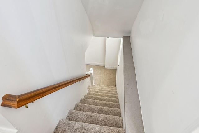 stairs featuring carpet floors