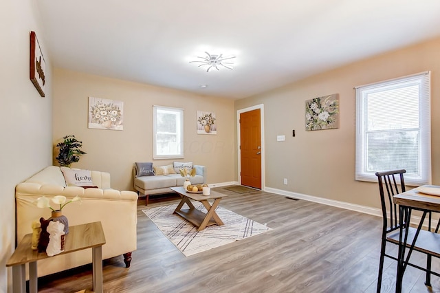 living room featuring wood-type flooring