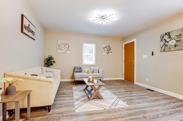 living room featuring hardwood / wood-style floors