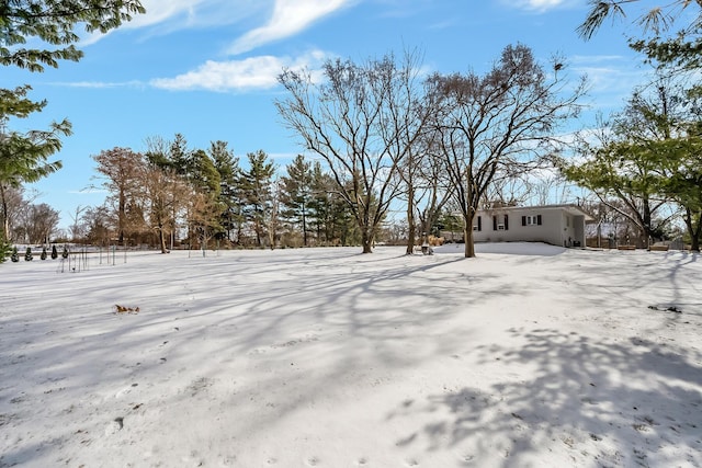 view of snowy yard