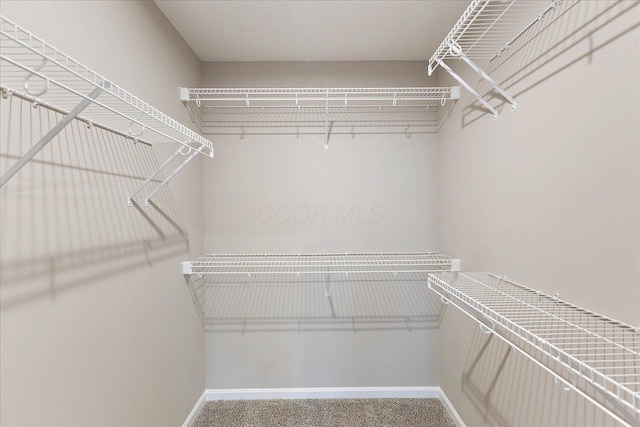 1221 Heathgate Way, Fairborn, OH 45324 - walk in closet with carpet