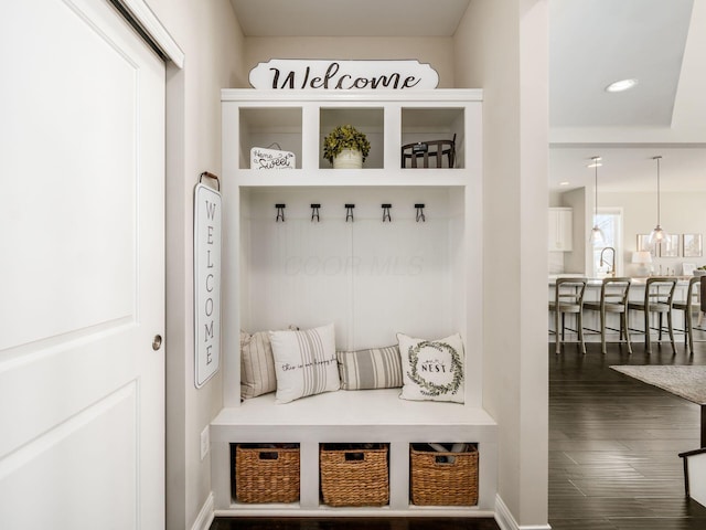 mudroom featuring sink and hardwood / wood-style floors