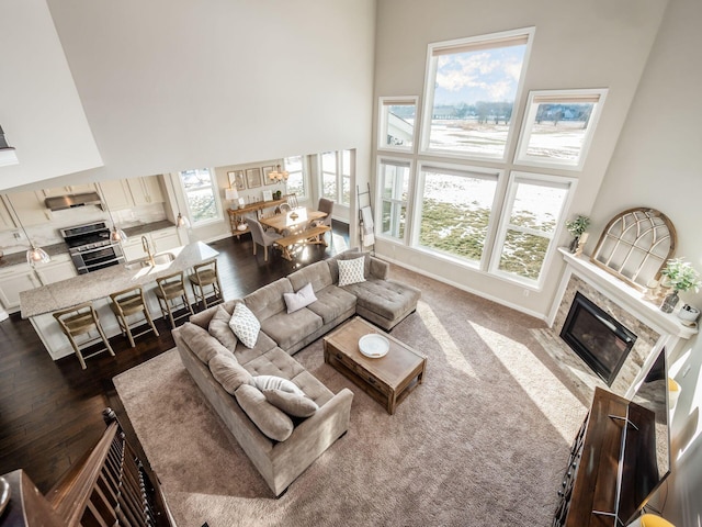 living room featuring wood-type flooring and a high ceiling