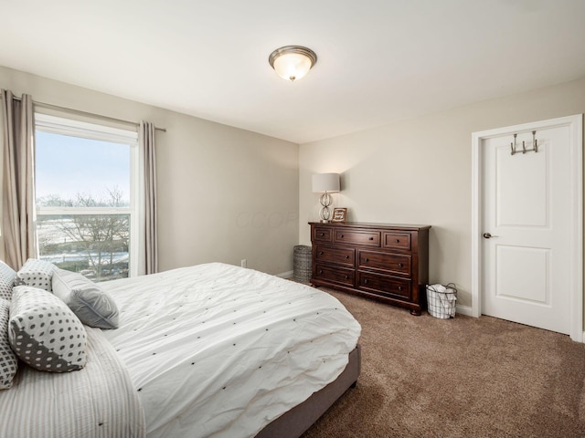 bedroom featuring carpet floors