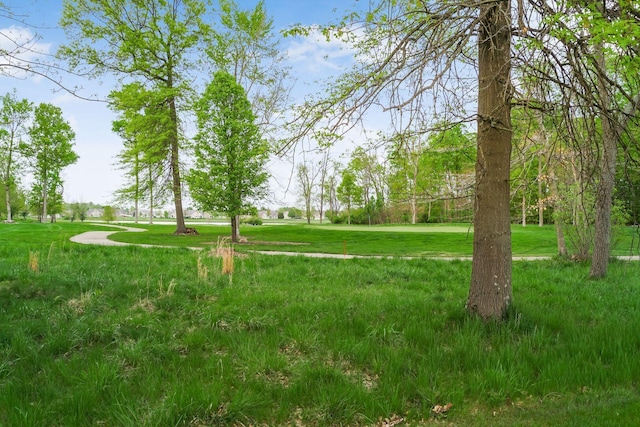 view of property's community featuring a yard