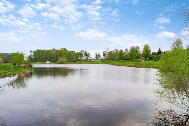 view of water feature