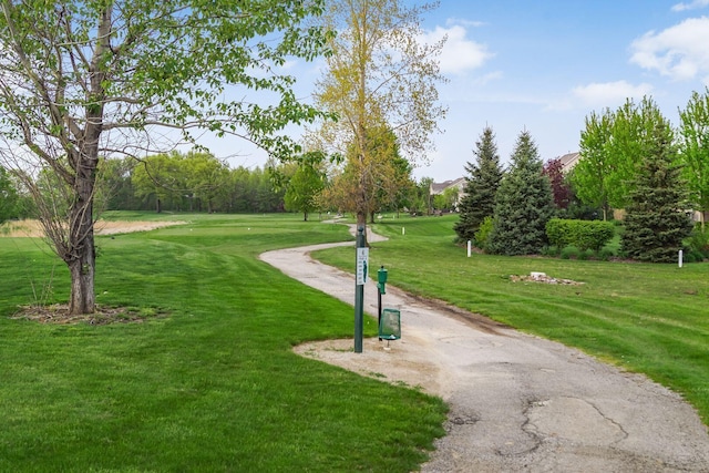 view of property's community featuring a yard