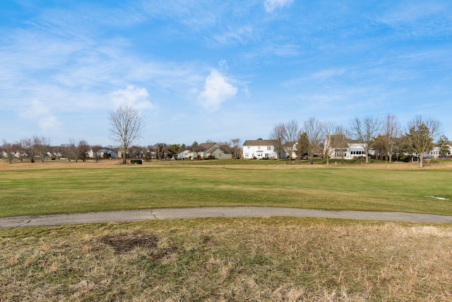 view of home's community with a yard