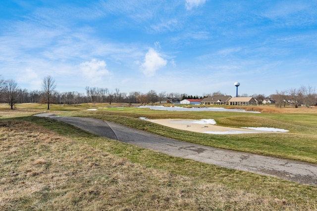 view of community featuring a yard