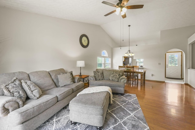 living room featuring ceiling fan, lofted ceiling, and wood-type flooring