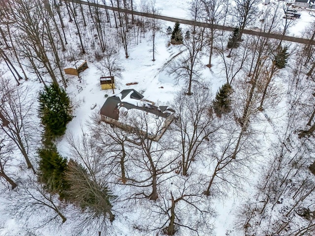 view of snowy aerial view