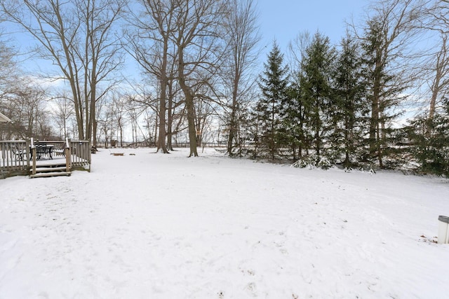 yard covered in snow with a deck