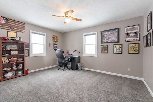 office space with light carpet, plenty of natural light, and baseboards