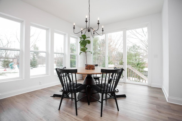 dining area with hardwood / wood-style floors and a chandelier